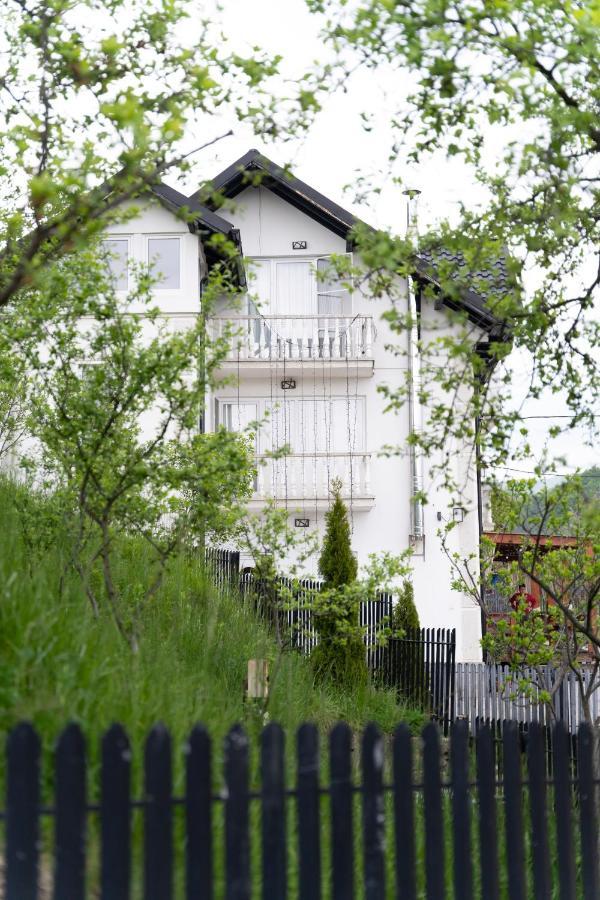 Vila Club Dioda Cicanesti Kültér fotó